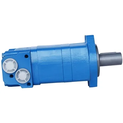 Vai jums ir jātīra ikdienas hidrauliskais motors?